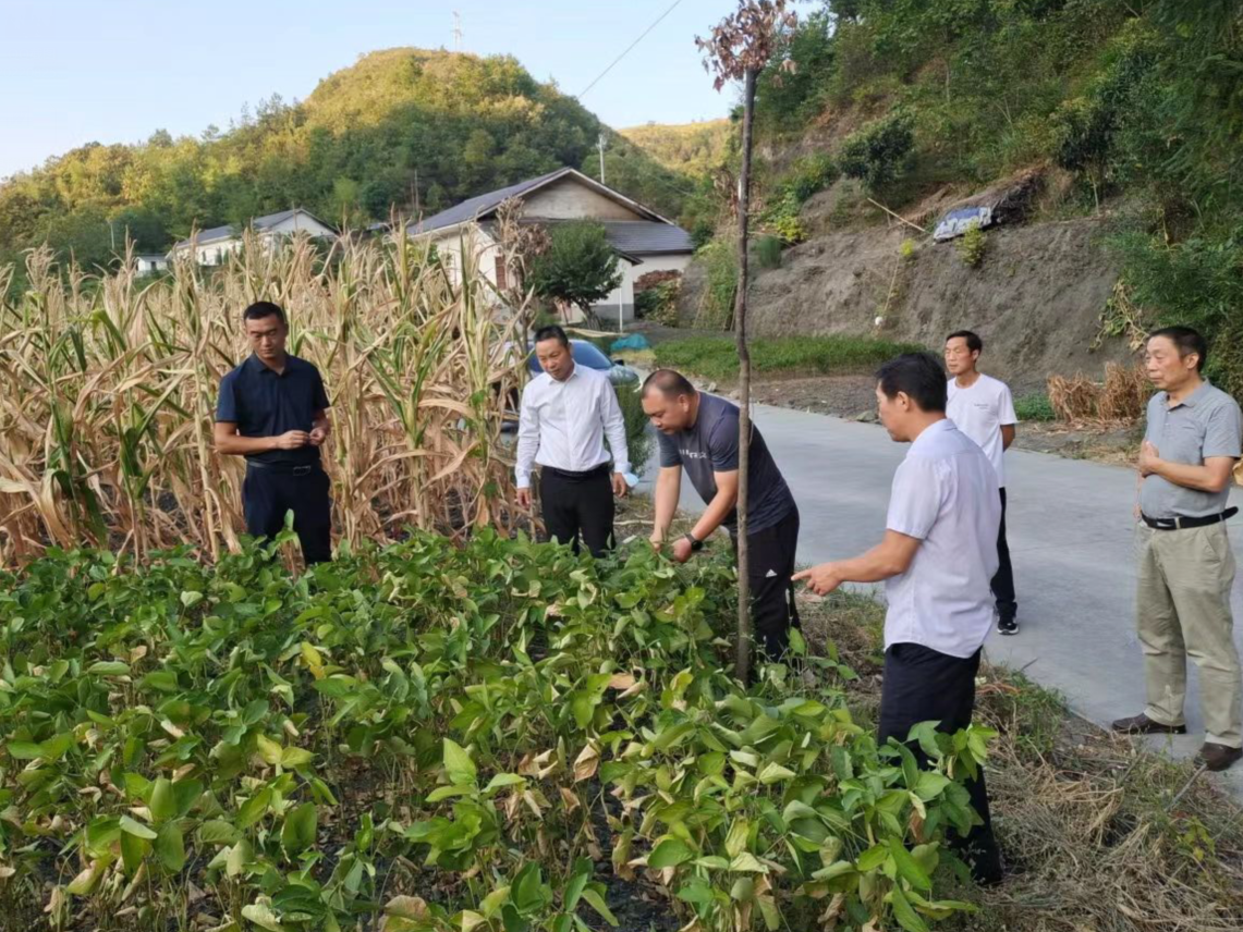 县移民服务中心持续开展我为群众办实事活动
