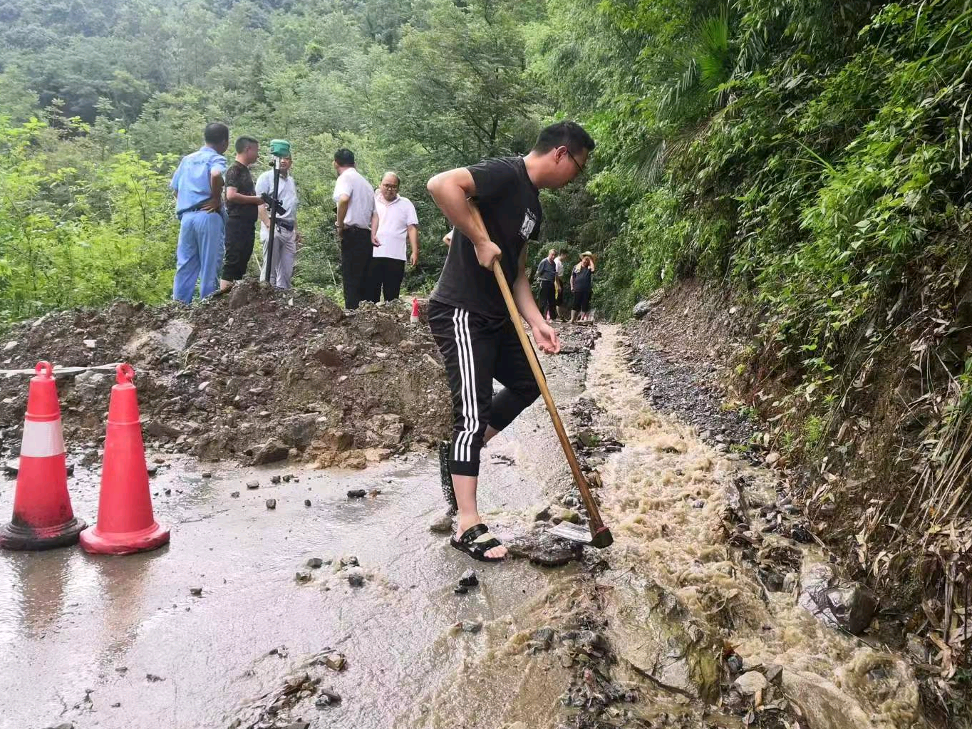官渡镇：织密防汛“安全网”