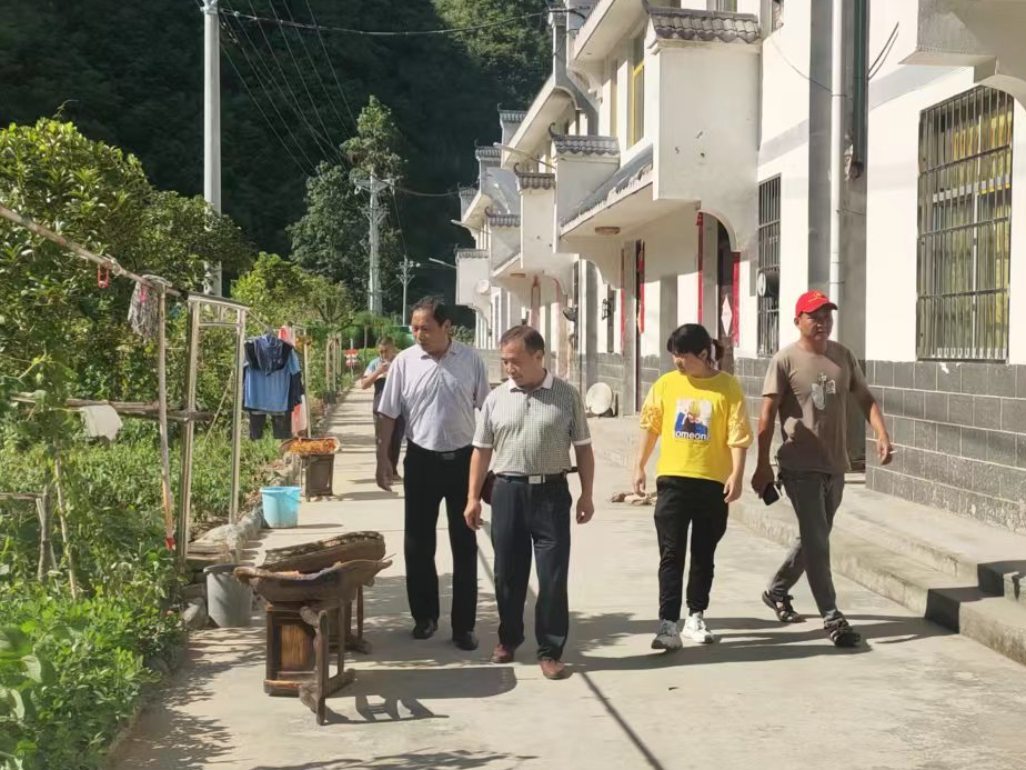 楼台乡多措并举推进“爱卫生 铸健康”百日攻坚行动