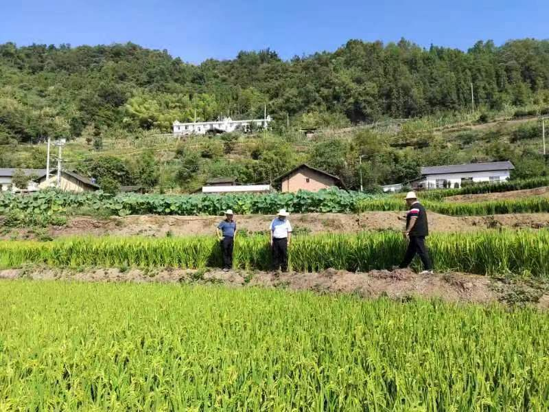 俯下身子听民声  心贴群众办实事