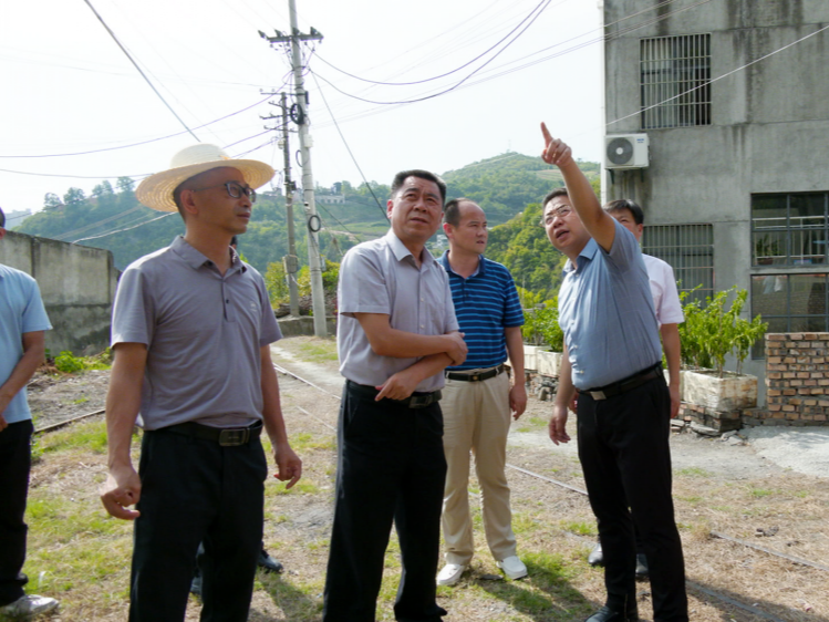 国家矿山安监局湖北局来我县开展煤矿安全巡查