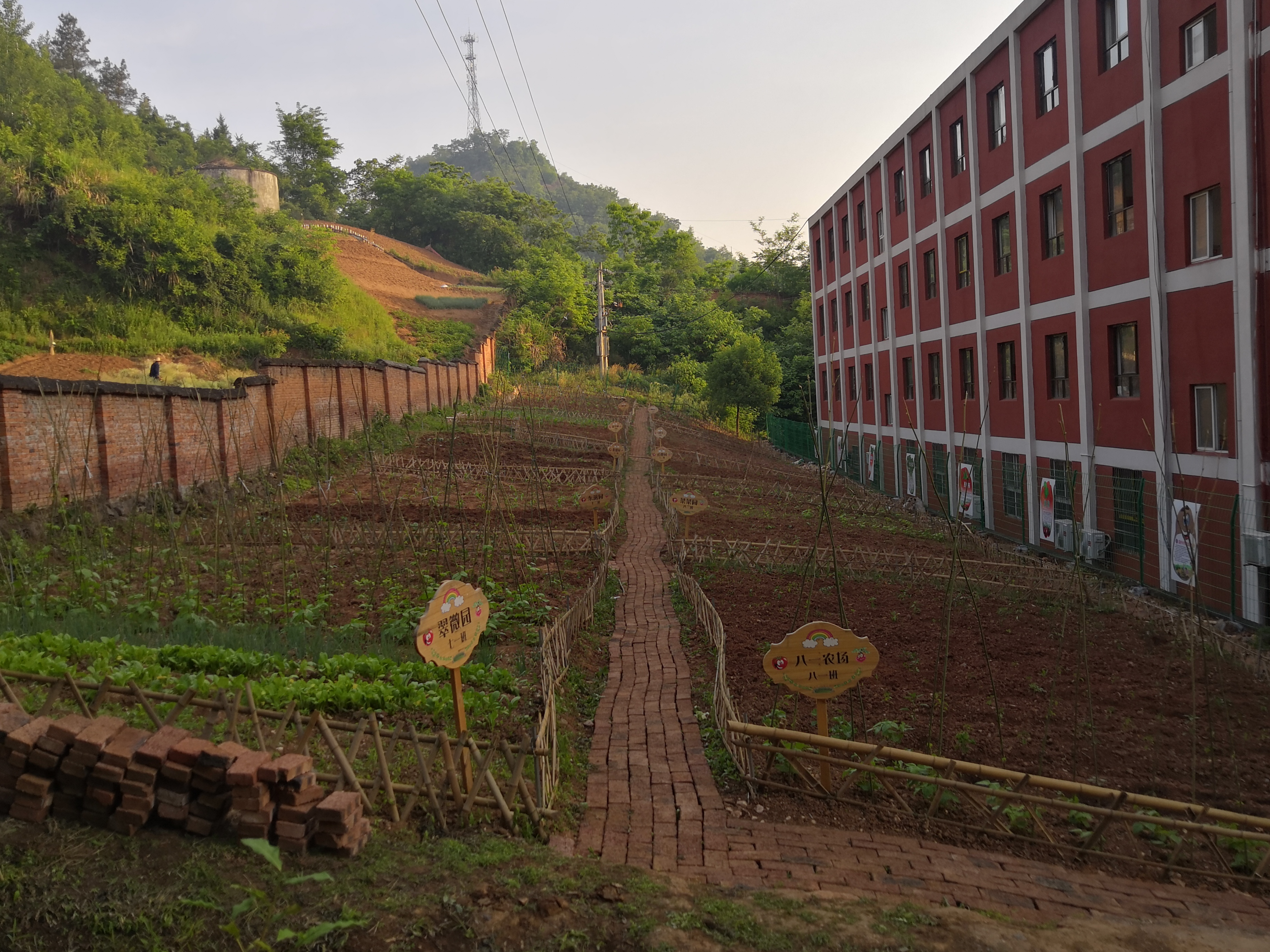 擂鼓中学：劳动教育打头阵   上好开学第一课