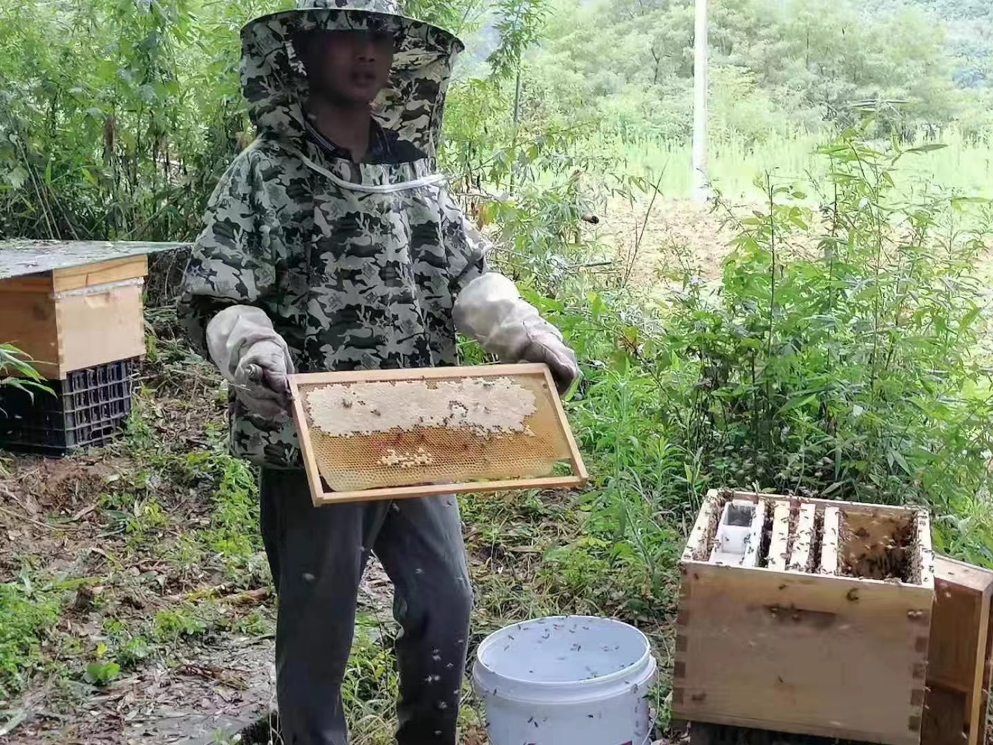 我县组织召开中蜂养殖技术现场实践培训会
