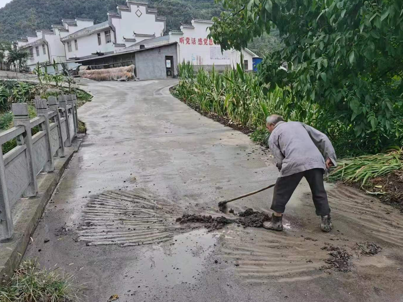 溢水镇：用活公益岗 为乡村振兴“添动力”