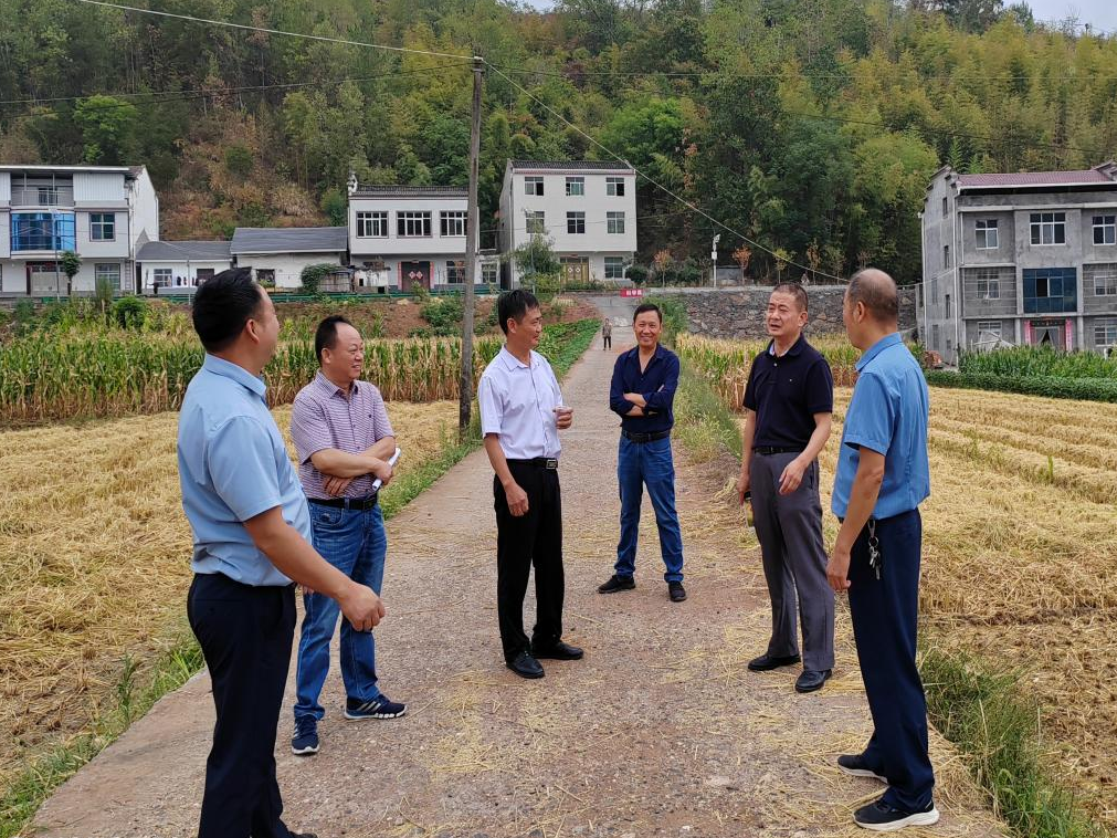 擂鼓镇：抢抓时节翻犁田地 备战秋冬农业生产
