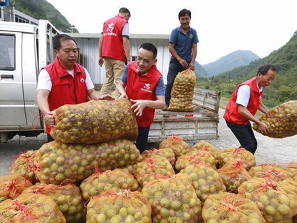 县教育局驻村帮扶好事连连