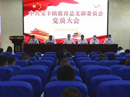 中共宝丰镇教育总支部委员会换届选举工作圆满完成