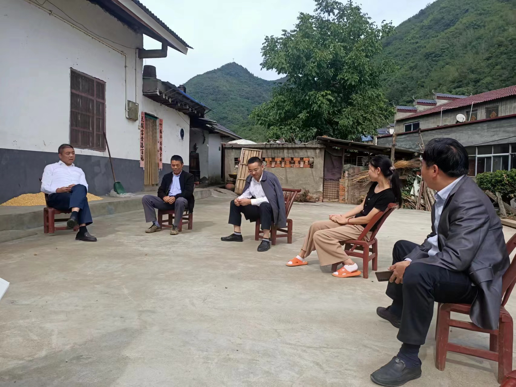 麻家渡镇：推进共同缔造  构建美好家园