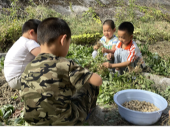 文峰乡中心幼儿园孩子们在劳动中快乐成长