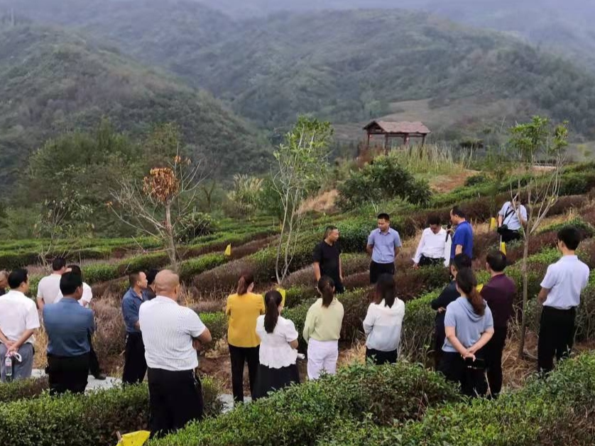 溢水镇召开秋冬农业开发现场会
