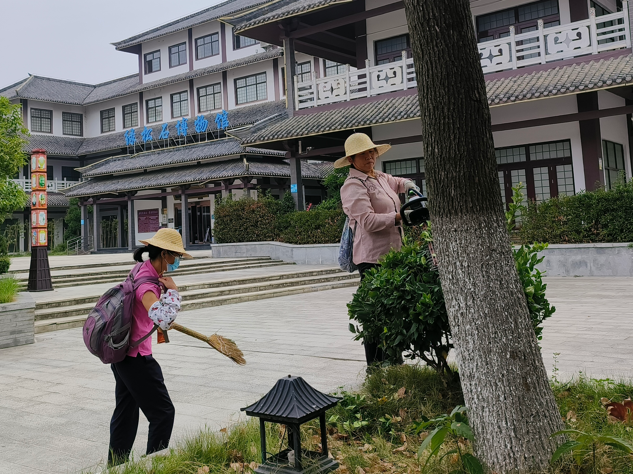 县绿松石博物馆开展秋季绿化养护工作