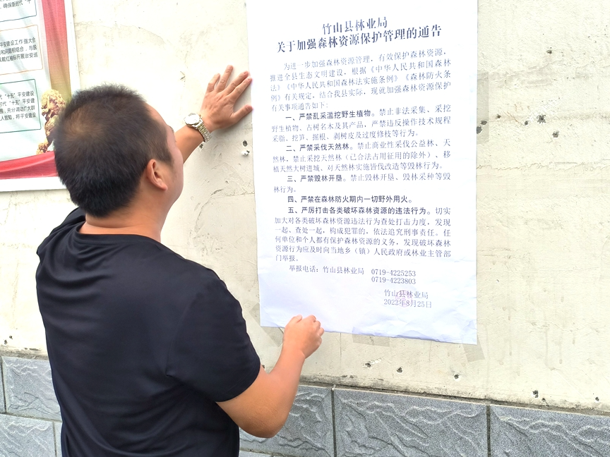 竹坪乡：携手保护森林资源筑牢生态屏障