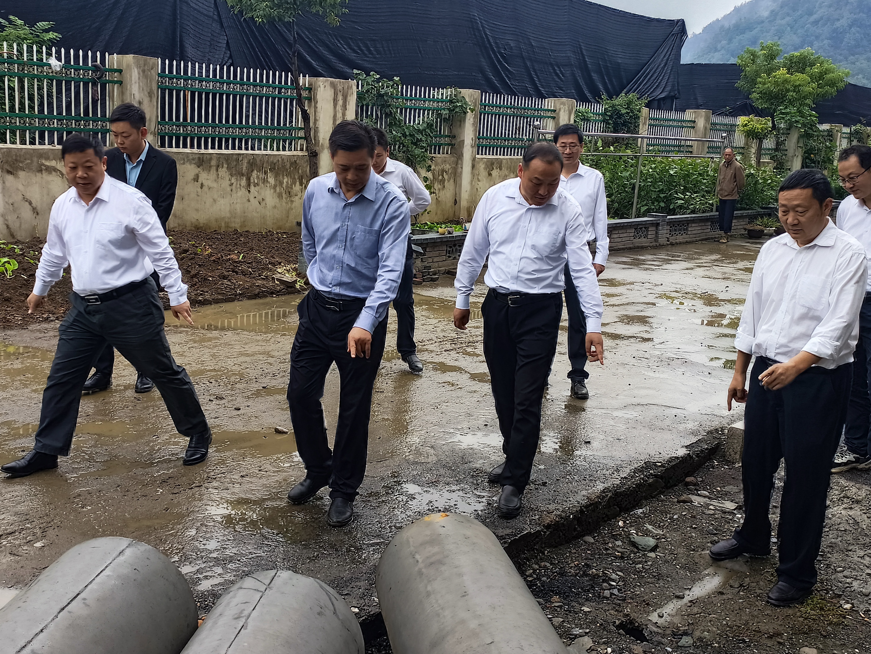 市调研组到我县调研共同缔造工作