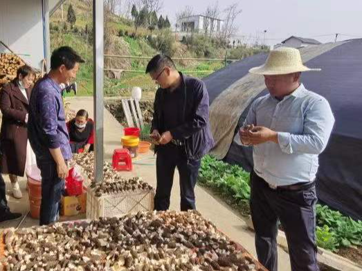 宝丰镇财政所：抓实主体培训 服务乡村振兴