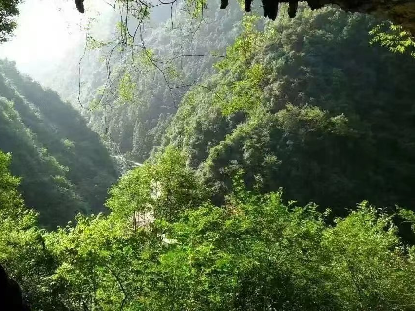官渡镇：“绿水青山”植心间 “画里乡村”迎面来