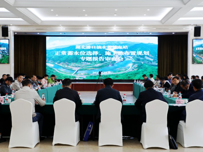 潘口抽水蓄能电站可研阶段三大专题报告通过咨询和审查