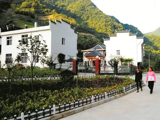 柳林乡：实施集镇绿化 扮靓“堵河明珠”