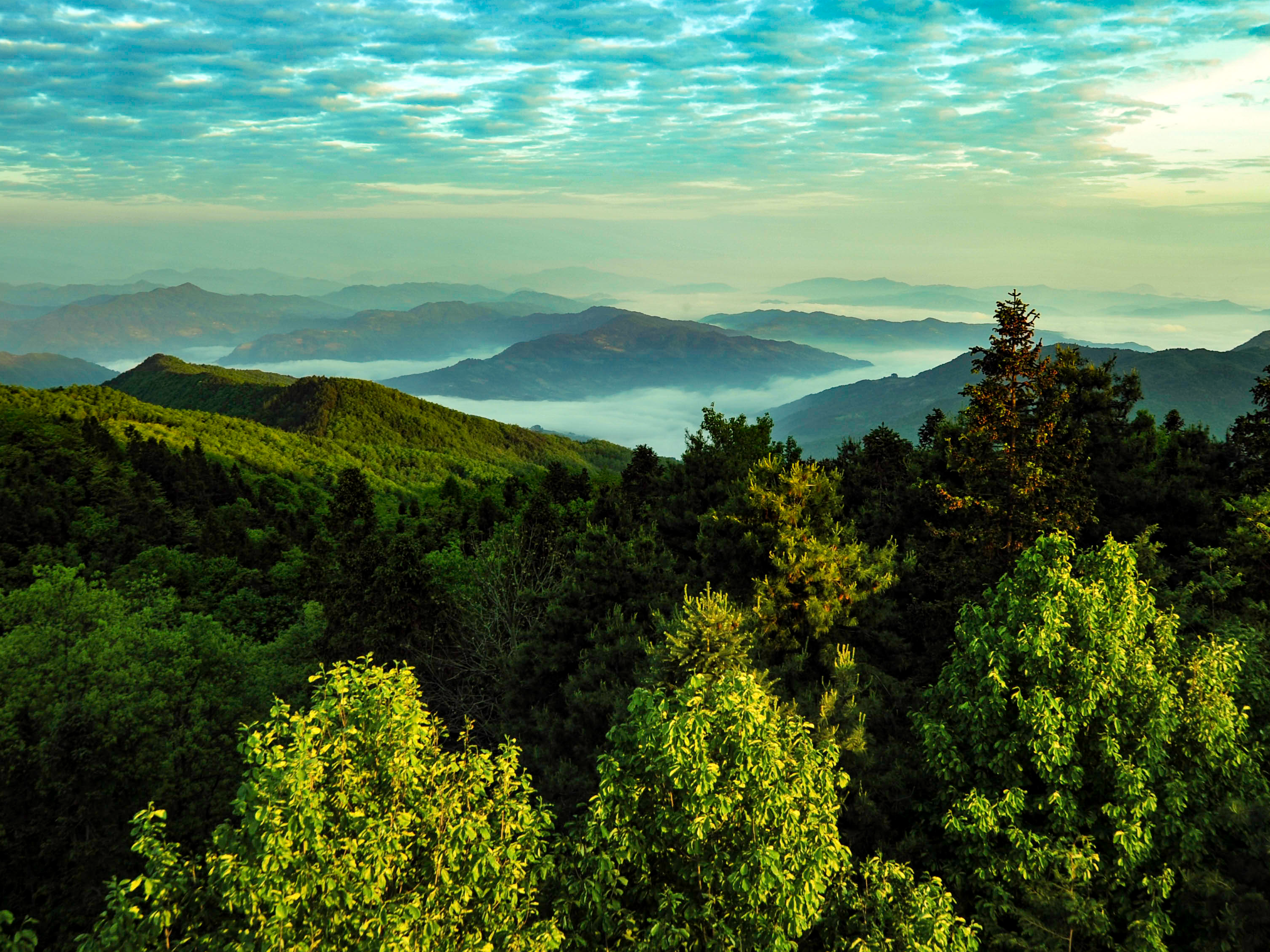 我县专题推进农发行项目对接