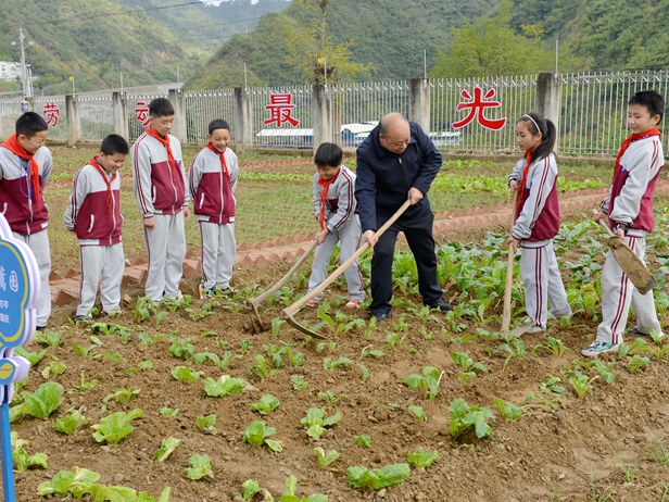 上庸镇九年一贯制学校：农耕校园收获忙 劳动实践成风景