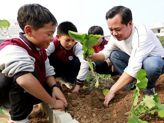 黄栗九年一贯制学校：校园小农场 师生劳作忙