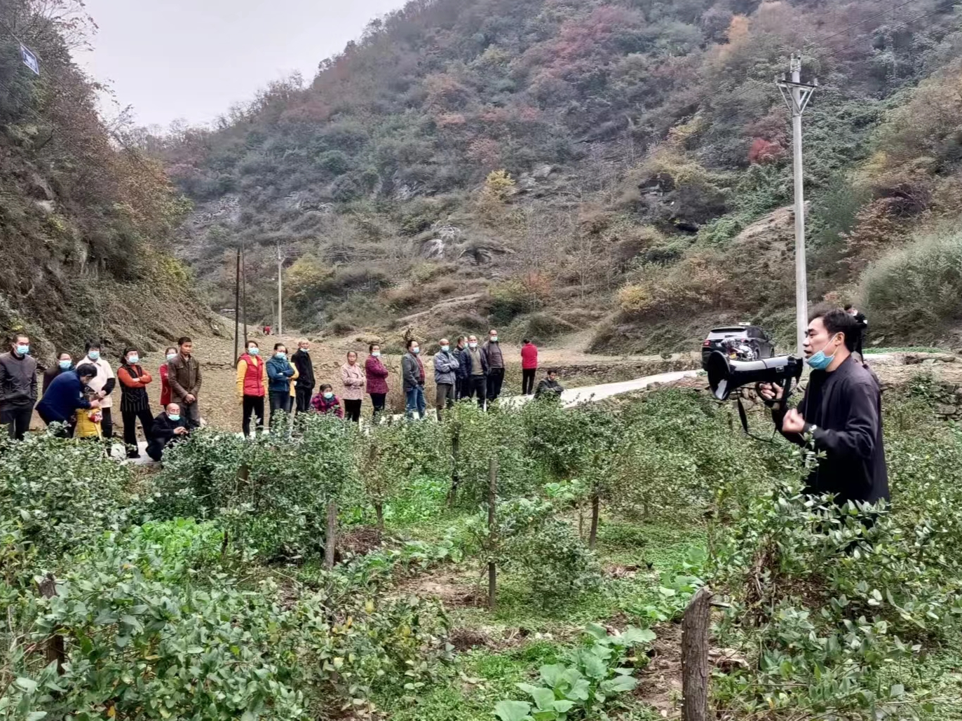 双台乡开展山银花管护培训