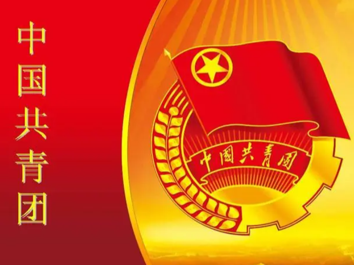 团县委开展“共青团与人大代表、政协委员面对面”活动