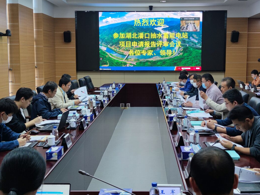 潘口抽水蓄能电站项目申请报告通过专家组评审