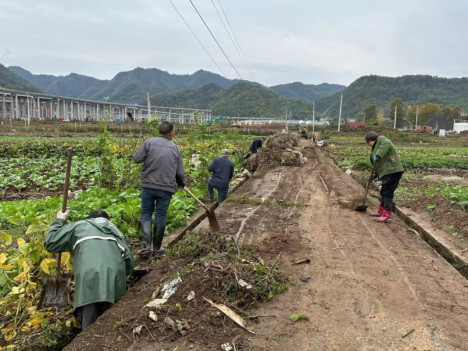 溢水镇：整治人居环境 共建美好家园