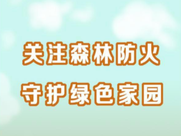 官渡镇多举措筑牢“森林防火墙”