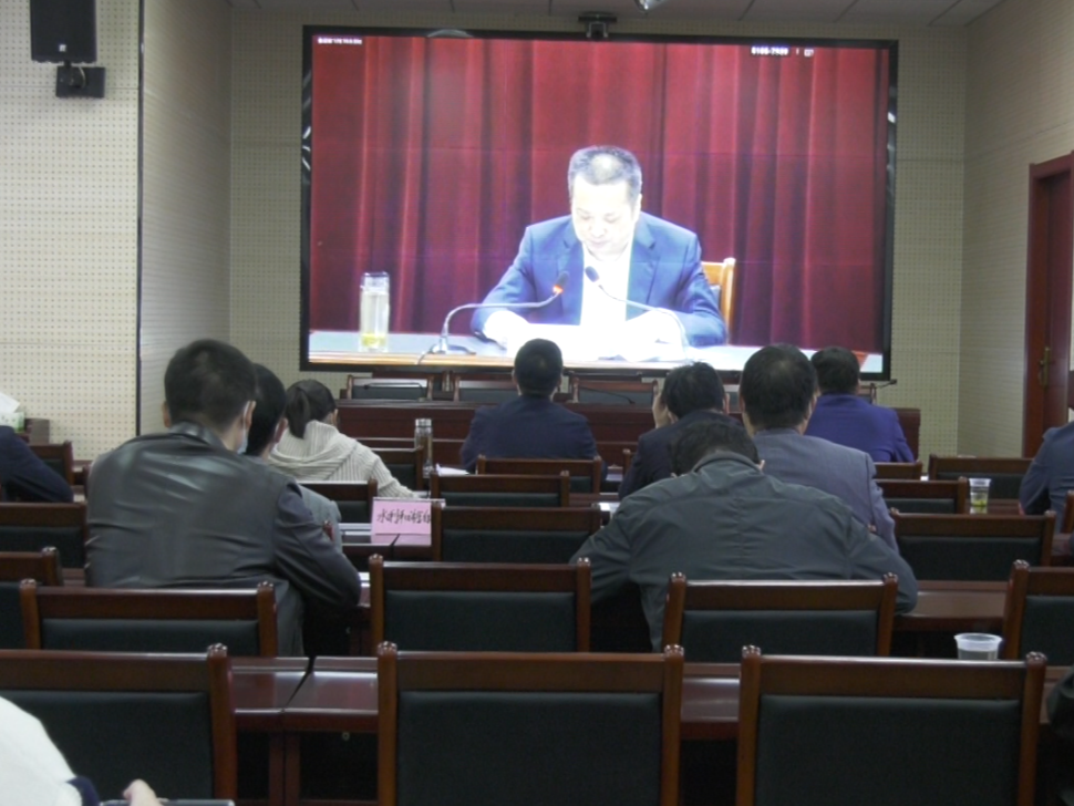 全市耕地保护督察整改推进视频会召开