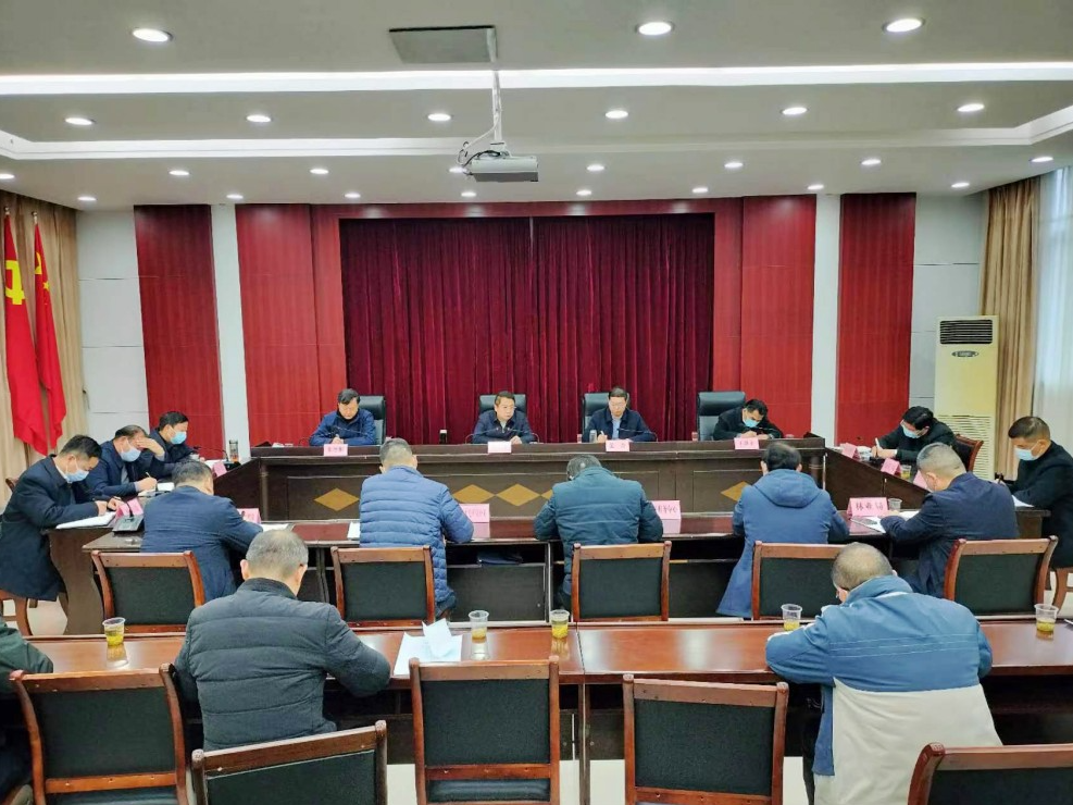 潘口抽水蓄能电站项目开工建设前期工作推进会召开