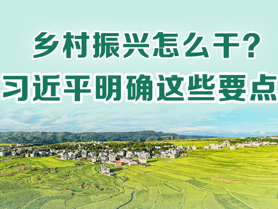 乡村振兴怎么干？习近平明确这些要点