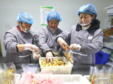 麻家渡镇“朱嫂”返乡创业 年销售农特产品80万元