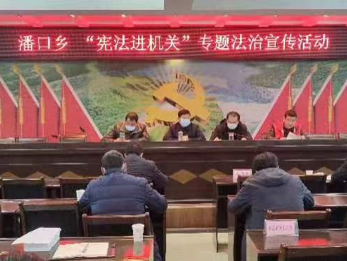 潘口乡：组织开展“国家宪法日”宣传活动
