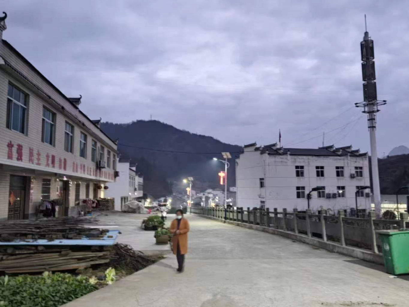 大庙村新乡贤捐赠路灯照亮村民回家路