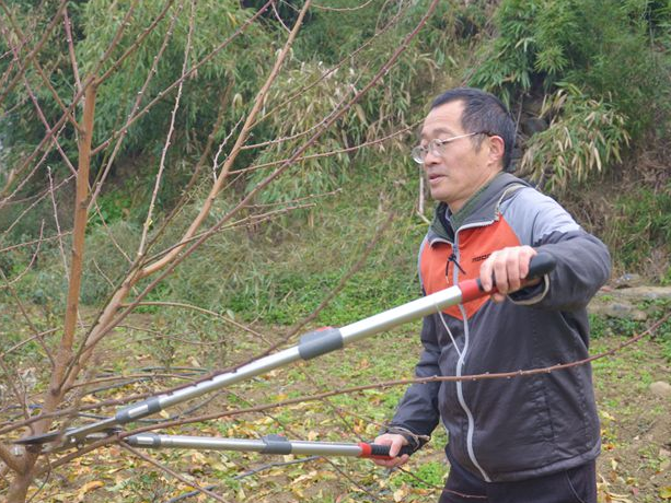 县农业农村局：送“技”下乡为乡村振兴赋能添“智”