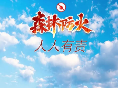 柳林乡扎实推进森林防灭火工作
