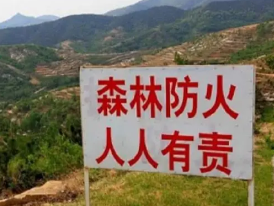 官渡镇：三举措筑牢森林防火墙