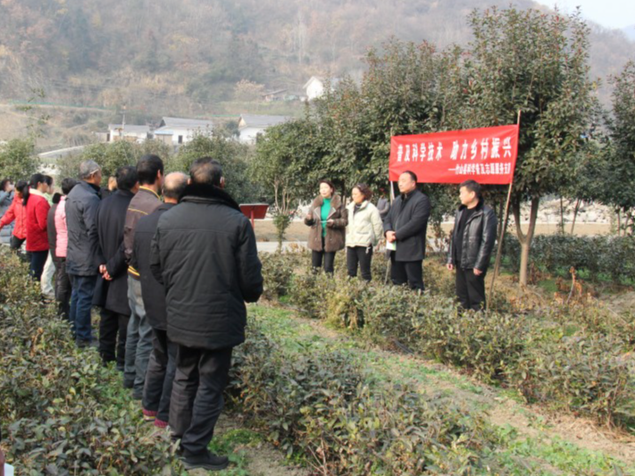 我县为茶农发放《茶园科学管理早知道》1万余册