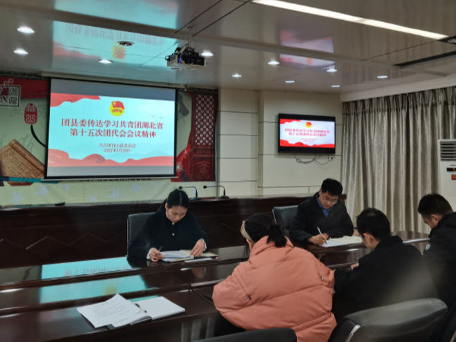 团县委传达学习省第十五次团代会精神