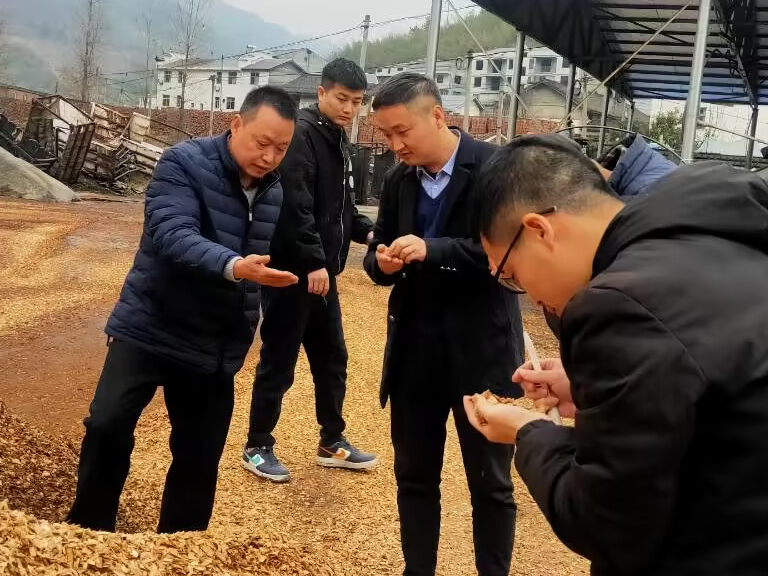 双台乡：小小食用菌  致富大产业