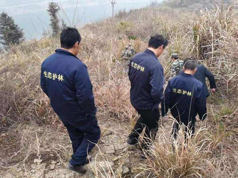 官渡镇280名生态护林员守护生态安全