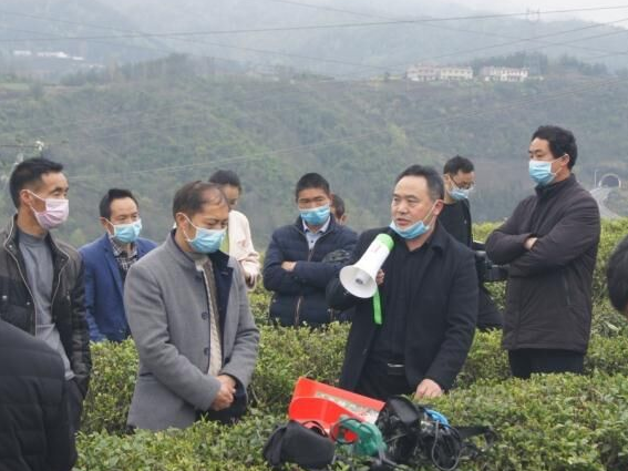 县农机服务中心：收心归位干劲足  农机事业谋新篇