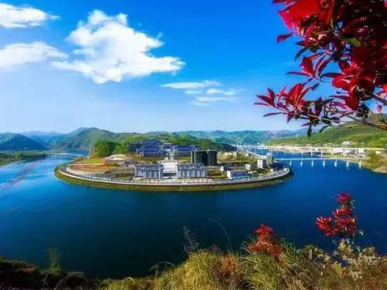 县科协：锤炼过硬作风 提升四种能力