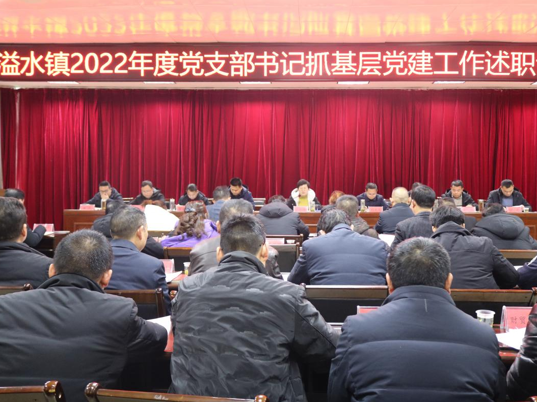溢水镇：党建述职谱新篇