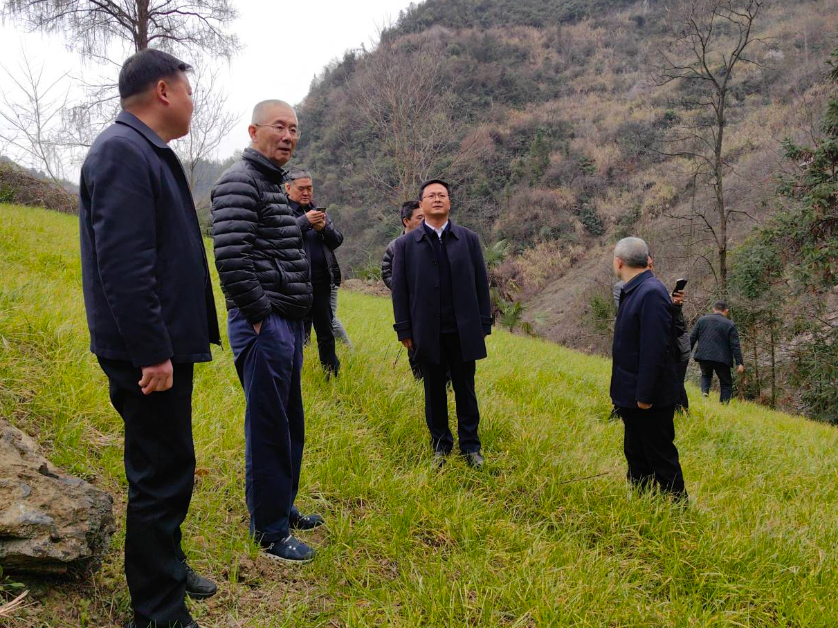 上海嘉麟杰集团董事长黄伟国一行来竹考察