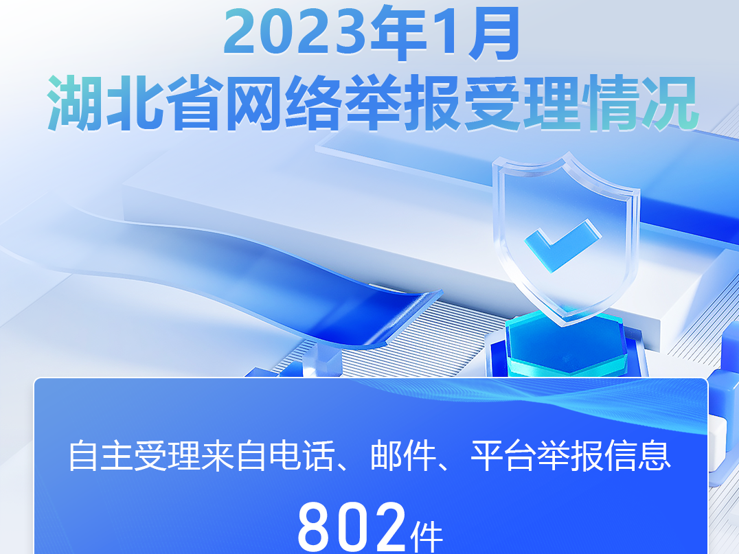 2023年1月湖北省网络举报受理情况
