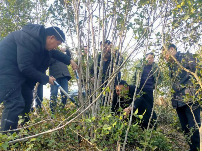 省市专家“把脉”我县油茶产业