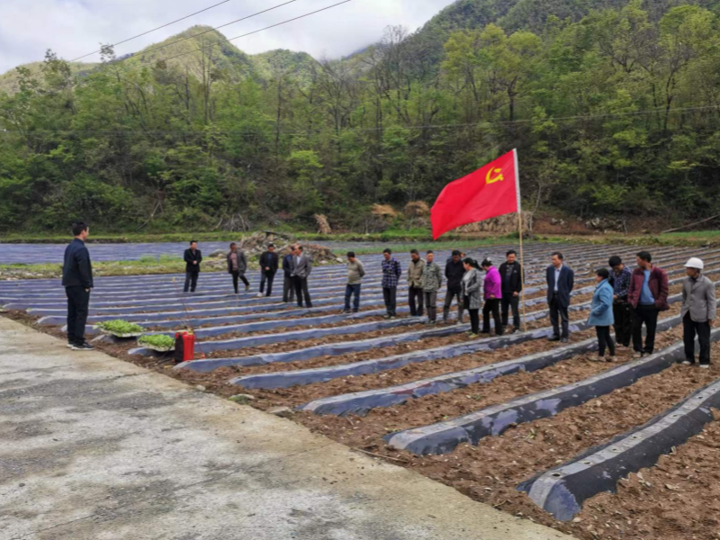 柳林乡：用“三张清单”换取群众“幸福帐单”