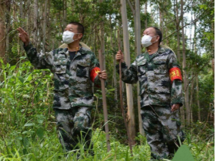 柳林乡：护林不止 “亮剑”不停